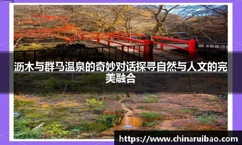沥木与群马温泉的奇妙对话探寻自然与人文的完美融合